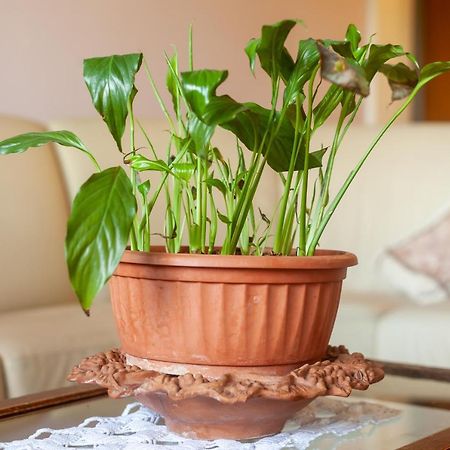 Casa Cesarina Apartment Massa  Ngoại thất bức ảnh